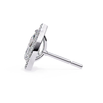 Pear Halo Stud Earrings